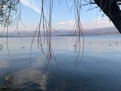 -西昌邛海湾柏樾酒店(原邛海湾柏栎度假酒店)