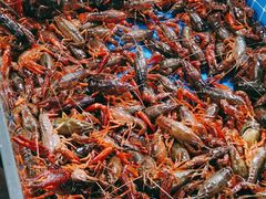 -呼和浩特市融桥商贸有限公司-停车场