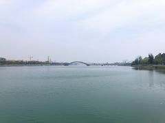 -五缘湾湿地公园