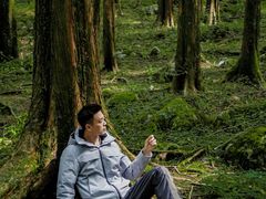 -武陵山森林公园