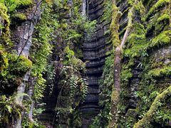 -梭布垭石林景区