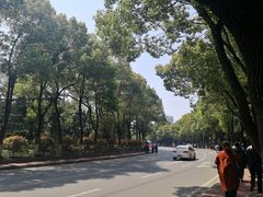 -武汉大学-樱园