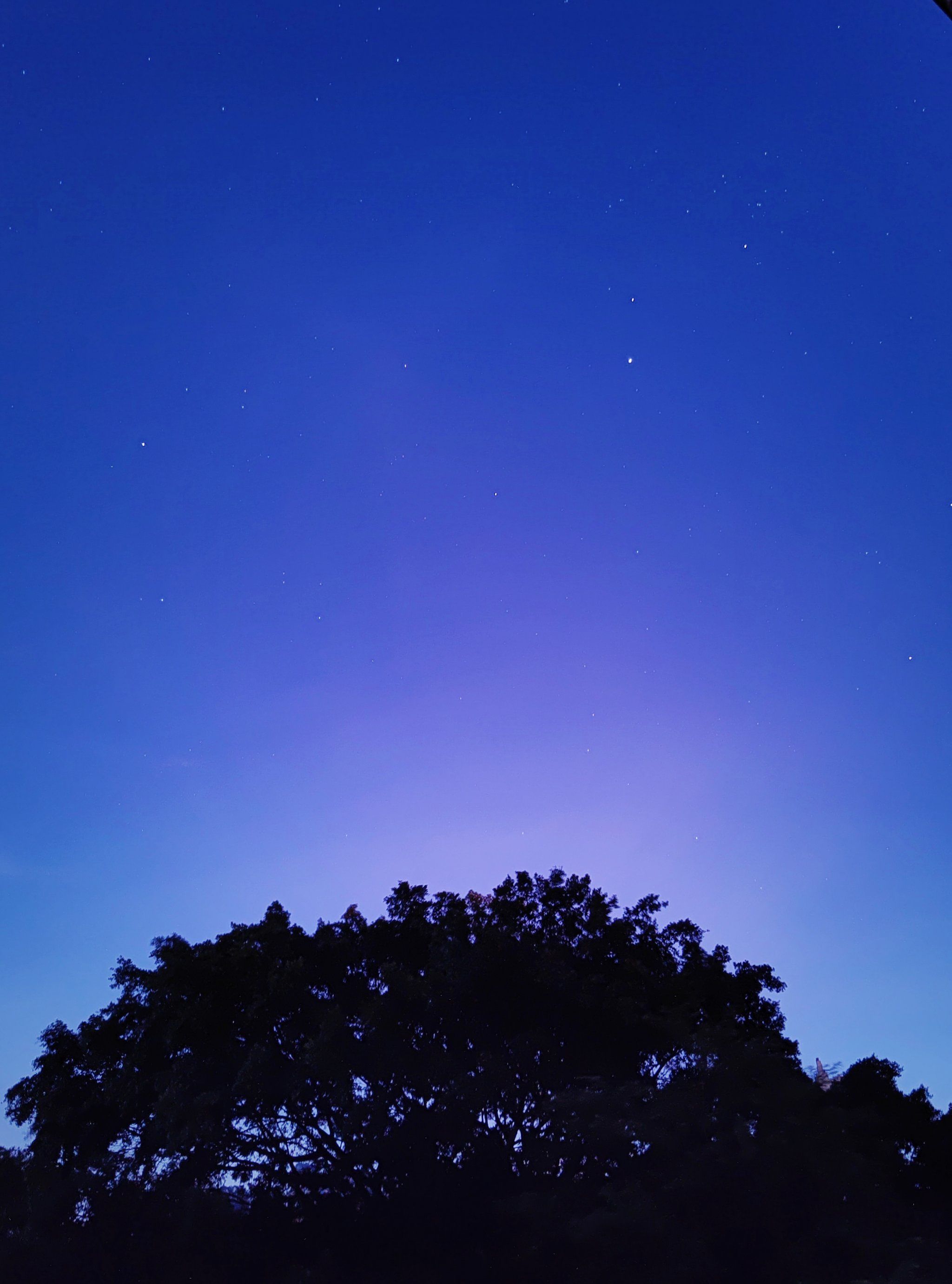 清晨的星