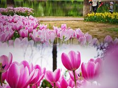 -石家庄市植物园