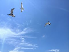 -海驴岛(荣成市)
