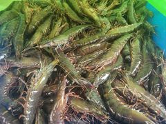 -江杨农产品批发市场