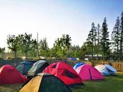 -前小桔亲子创意农场·草莓采摘·露营烧烤