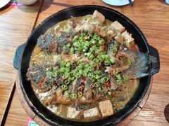 -老板恋上鱼(恒隆广场店)