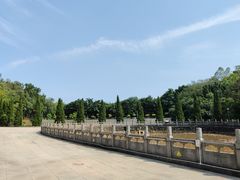 -三水森林公园