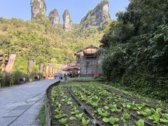 -矮寨·十八洞·德夯大峡谷景区