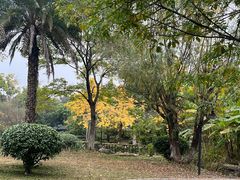 -两河城市森林公园