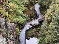 -茅兰沟国家森林公园