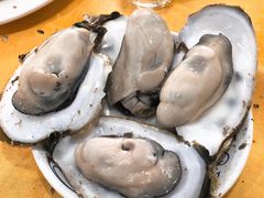 桑拿蚝-蚝专家(北滘店)