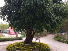 -揭东万竹园旅游景区