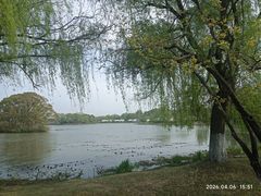 -梁鸿国家湿地公园