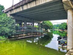-小洲村