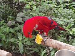 -南宫五洲植物乐园