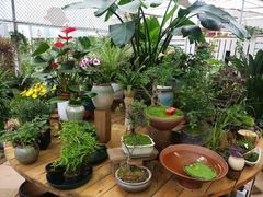 -三圣花乡旅游区