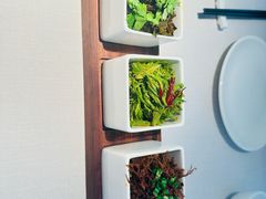 -云腾食府·云南菜
