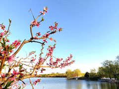 -大兴滨河森林公园