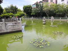 -碧江金楼