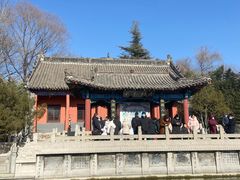 -百脉泉景区