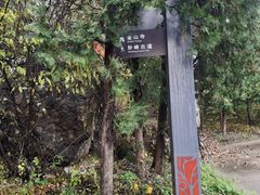 -阳台山自然风景区