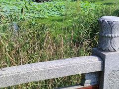 -宜兴龙背山森林公园