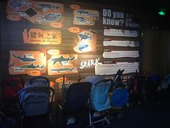 -成都浩海立方海洋公园