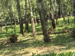 -秦皇岛野生动物园
