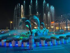 -上海海昌海洋公园