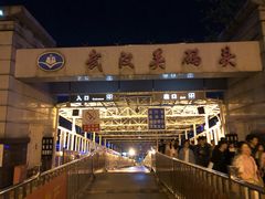 -武汉关码头(轮渡站)