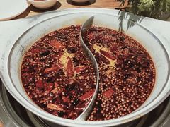 -青瓷火锅料理(西单大悦城店)