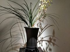 -粤仔湾砂锅粥(阳光店)