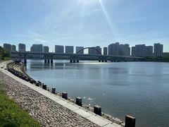 -五缘湾湿地公园
