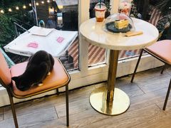 大堂-有猫主题·治愈系猫咖(曾厝垵店)