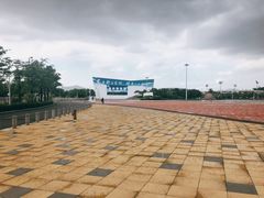 -奥林匹克体育中心游泳馆