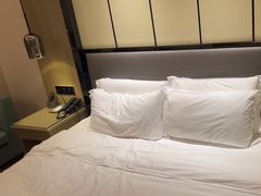 -华海酒店(茂名高铁站店)