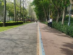 -顺峰山公园