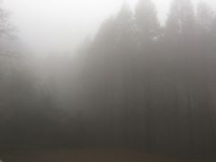 -山王坪喀斯特国家生态公园