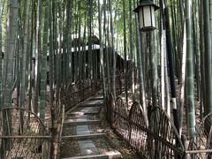 -宝岩生态观光园
