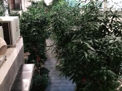 -滕头生态酒店(奉化店)