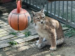 -青藏高原野生动物园