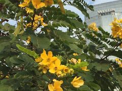 -广交会威斯汀酒店