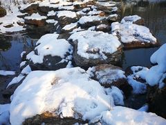 -镇江市南山风景名胜区竹林景区