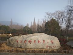 -习家池