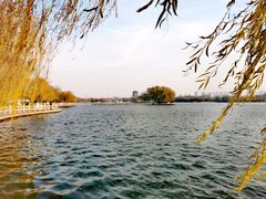 -济南大明湖景区
