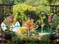 -上海共青森林公园