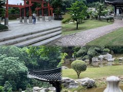 -深圳仙湖植物园