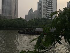 -运河游船(武林门码头)